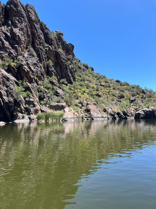 ARIZONA'S SURPRISING SURF LEGACY